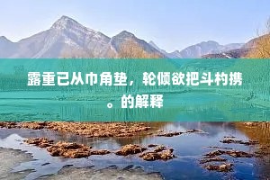 露重已从巾角垫，轮倾欲把斗杓携。的解释