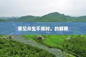 要见众生不病时。的解释
