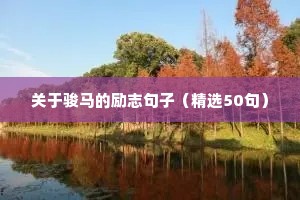 关于骏马的励志句子（精选50句）