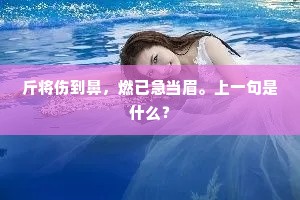 斤将伤到鼻，燃已急当眉。上一句是什么？
