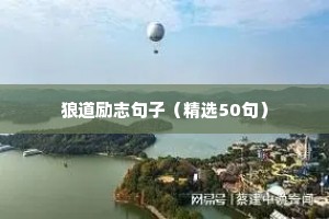 狼道励志句子（精选50句）