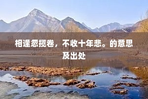 相逢忽揽卷，不收十年悲。的意思及出处