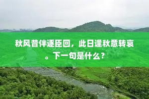 秋风昔伴逐臣回，此日逢秋意转哀。下一句是什么？