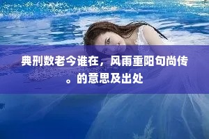 典刑数老今谁在，风雨重阳句尚传。的意思及出处