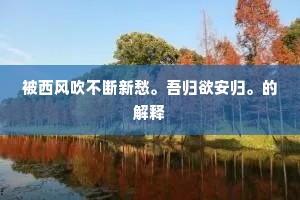 被西风吹不断新愁。吾归欲安归。的解释