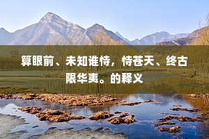 算眼前、未知谁恃，恃苍天、终古限华夷。的释义