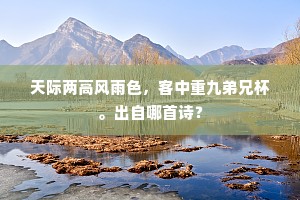天际两高风雨色，客中重九弟兄杯。出自哪首诗？