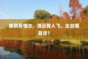 春鸥吾愧汝，清远背人飞。出自哪首诗？