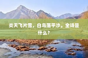 炎天飞片雪，白鸟落平沙。全诗是什么？