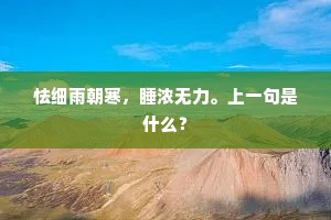 怯细雨朝寒，睡浓无力。上一句是什么？