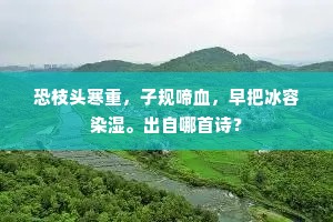 恐枝头寒重，子规啼血，早把冰容染湿。出自哪首诗？