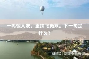 一鸣惊人友，更挟飞凫双。下一句是什么？