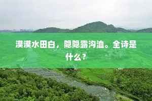 漠漠水田白，隐隐露沟洫。全诗是什么？