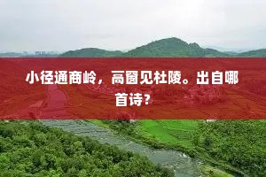 小径通商岭，高窗见杜陵。出自哪首诗？