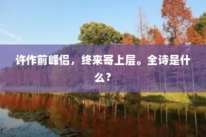 许作前峰侣，终来寄上层。全诗是什么？
