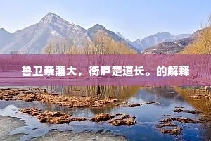 鲁卫亲藩大，衡庐楚道长。的解释