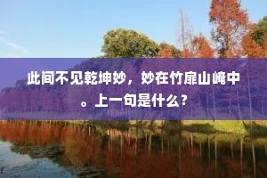 此间不见乾坤妙，妙在竹扉山崦中。上一句是什么？