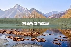 村酒野蔬的解释