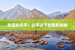 阶层的天平：公平之下的隐形刻度