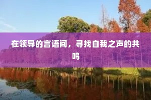 在领导的言语间，寻找自我之声的共鸣