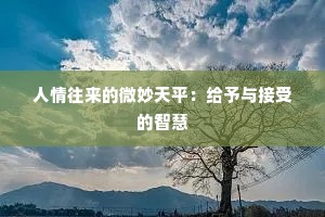 人情往来的微妙天平：给予与接受的智慧