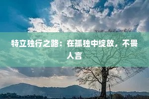 特立独行之路：在孤独中绽放，不畏人言