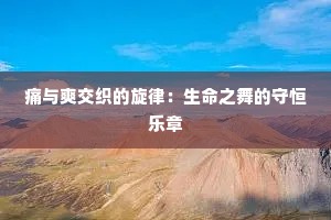 痛与爽交织的旋律：生命之舞的守恒乐章