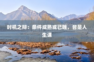 时机之辩：条件成熟或已晚，皆是人生课