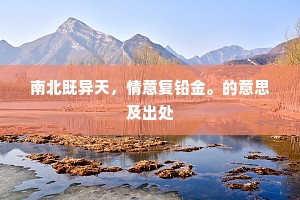 南北既异天，情意复铅金。的意思及出处