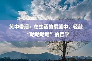 笑中带泪：在生活的裂缝中，轻敲“哈哈哈哈”的哲学
