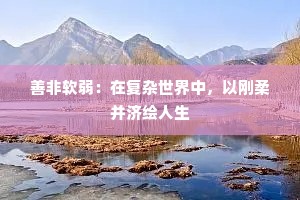 善非软弱：在复杂世界中，以刚柔并济绘人生
