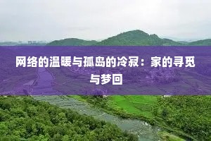网络的温暖与孤岛的冷寂：家的寻觅与梦回