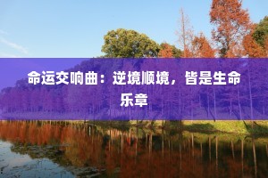 命运交响曲：逆境顺境，皆是生命乐章