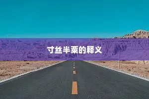 寸丝半粟的释义