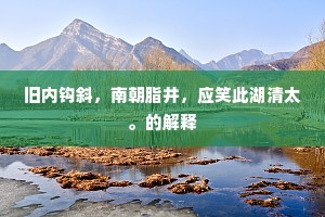 旧内钩斜，南朝脂井，应笑此湖清太。的解释