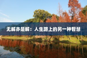 无解亦是解：人生路上的另一种智慧