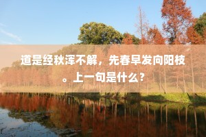 道是经秋浑不解，先春早发向阳枝。上一句是什么？