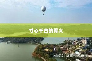 寸心千古的释义