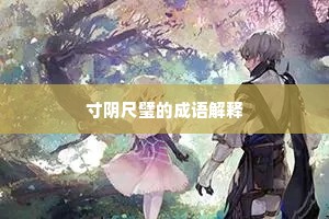 寸阴尺璧的成语解释