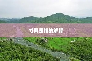 寸阴是惜的解释