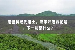 唐世科场先进士，汉家郊庙要抡魁。下一句是什么？
