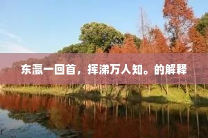 东瀛一回首，挥涕万人知。的解释