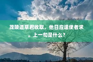 茂陵遗草君收取，他日应逢使者求。上一句是什么？
