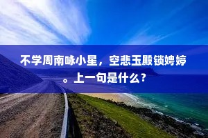 不学周南咏小星，空悲玉殿锁娉婷。上一句是什么？