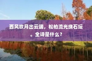 西风吹月出云端，松柏流光绕石坛。全诗是什么？