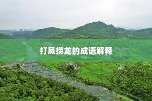 打凤捞龙的成语解释