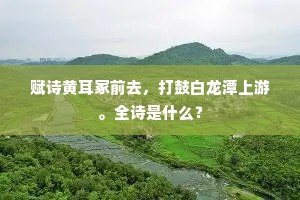 赋诗黄耳冢前去，打鼓白龙潭上游。全诗是什么？
