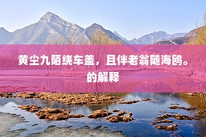 黄尘九陌绕车盖，且伴老翁随海鸥。的解释