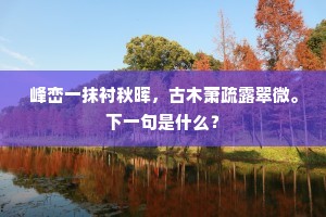 峰峦一抹衬秋晖，古木萧疏露翠微。下一句是什么？