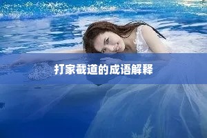 打家截道的成语解释